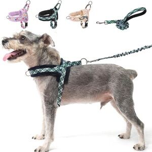 Dog harness XXS